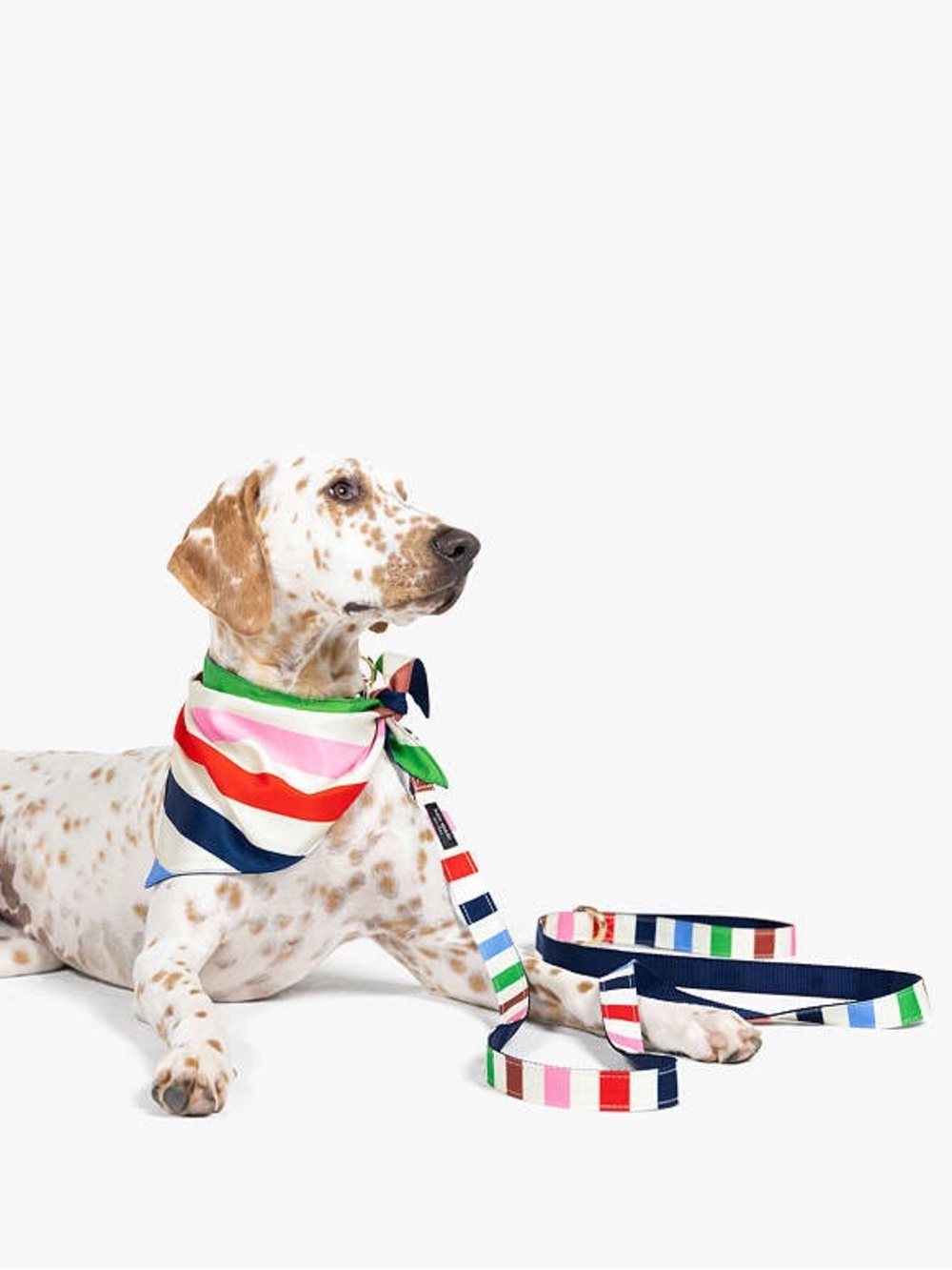 Kate Spade NY Adventure Stripe Dog Collar & Leash Combo - NWOT